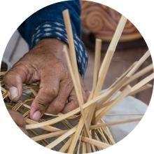 bamboo