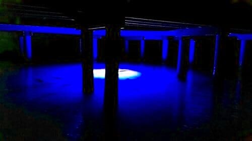 Green Blob 110V Bottom Bobber: LED Underwater Dock Fishing Light