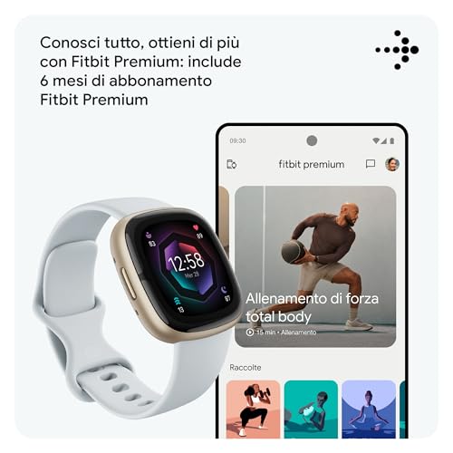 Fitbit Smartwatch Unisex Adult Nebbia Alluminio