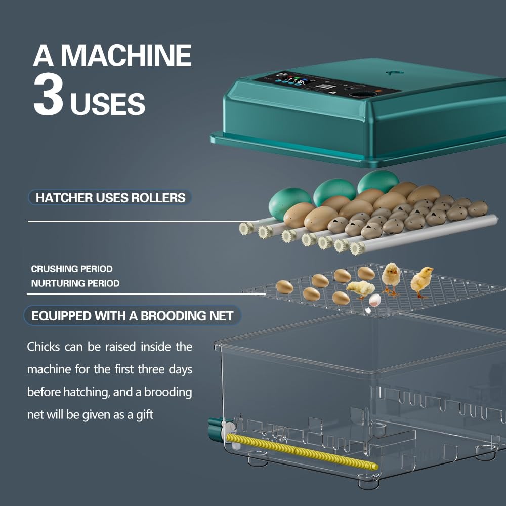 Incubatrice Automatica per Uova con Display Digitale, Controllo della Temperatura, Sistema di Rotazione Automatica, Verde