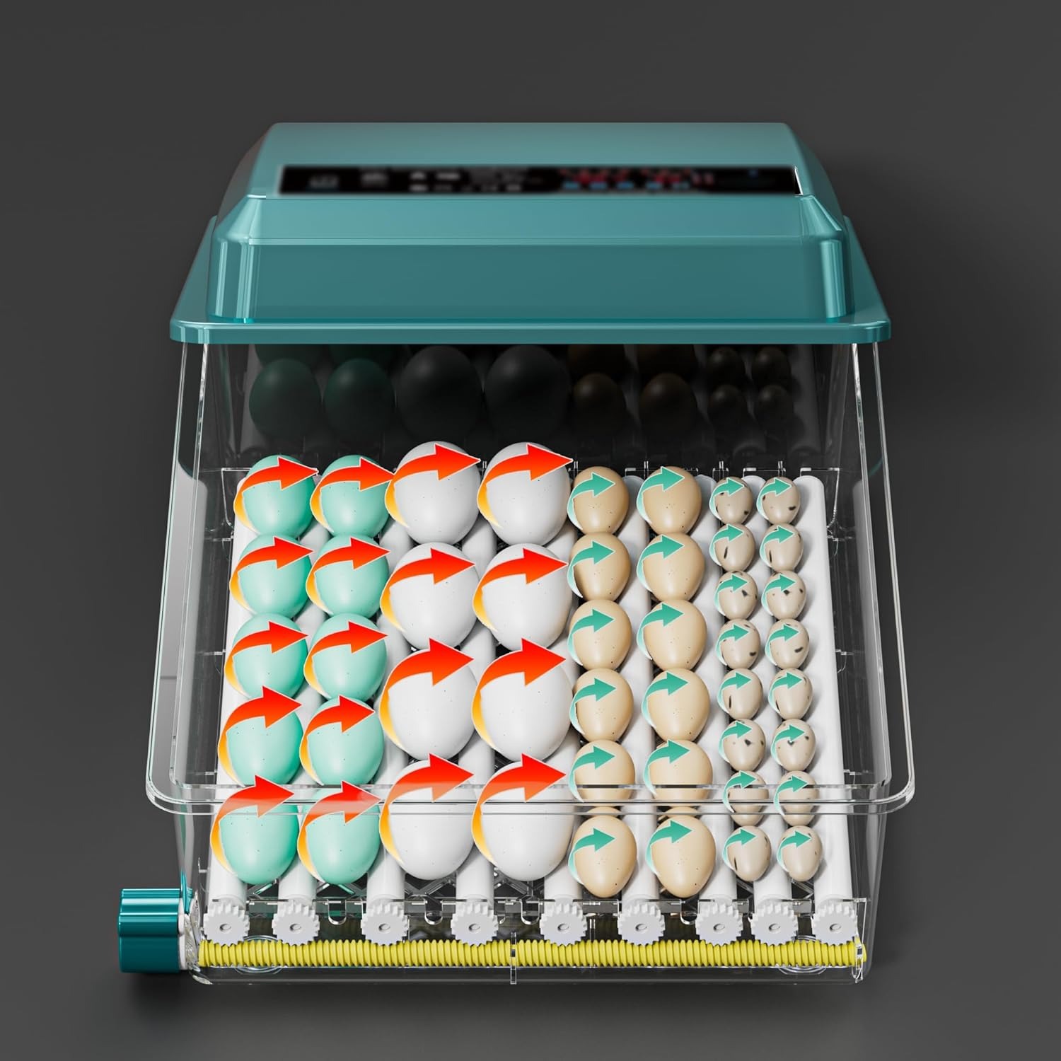 Incubatrice Automatica per Uova con Display Digitale, Controllo della Temperatura, Sistema di Rotazione Automatica, Verde