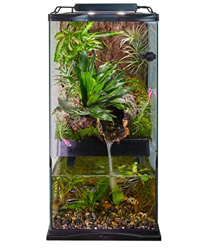 Zoo Med Paludarium   Paludario in vetro e metallo per la creazione di ambienti naturali per animali esotici, anfibi, rettili, dimensione 30x30x60 cm : Amazon.it: Prodotti per animali domestici