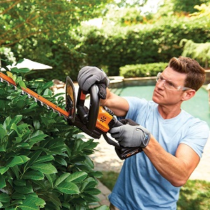 worx
