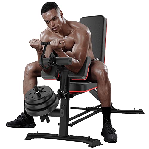 Panca pesi multiuso con estensore per le gambe   Panca regolabile in più posizioni per allenamento della forza, esercizi con manubri e allenamenti addominali : Amazon.it: Sport e tempo libero