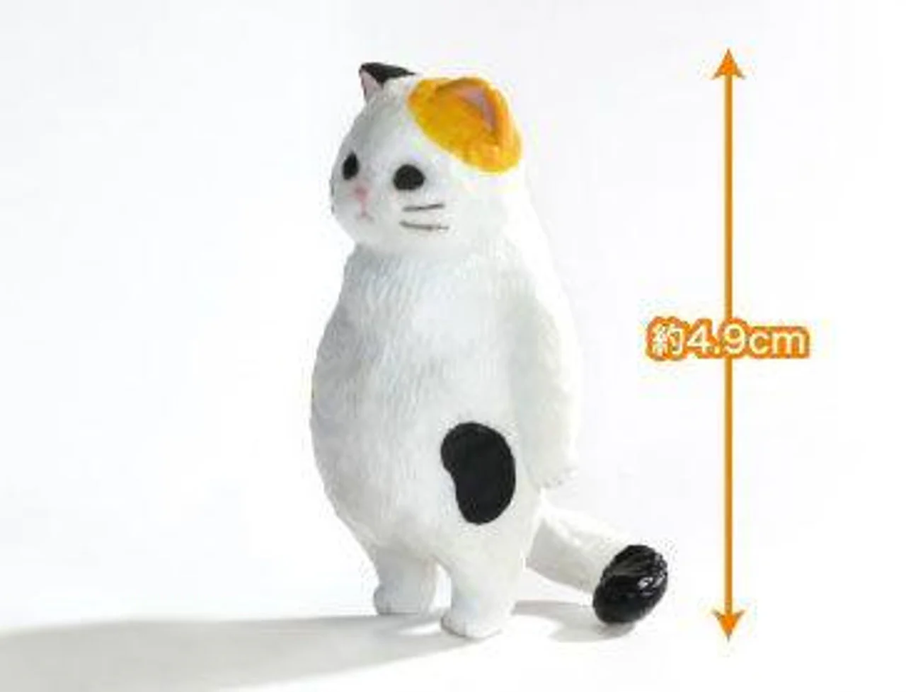 Kyomu. Vol 1 Blind Box
