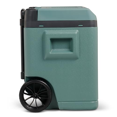 IGLOO IE42 Frigorifero Portatile Elettrico per Auto e Presa Elettrica, 42L, 12V e 230V : Amazon.it: Grandi elettrodomestici