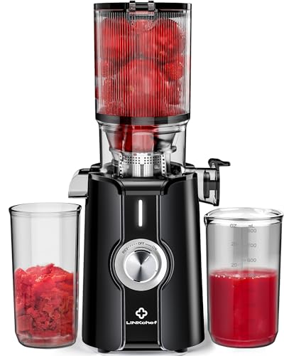 Rush Clear Slow Masticating Juicer Machines, Cold Press Juicer with No Prep 4.35