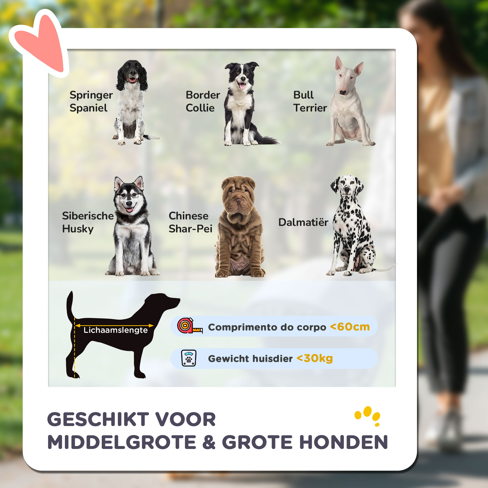 PawHut hondenbuggy, opvouwbare hondenwagen, hondenbuggy met kussen, kattenbuggy