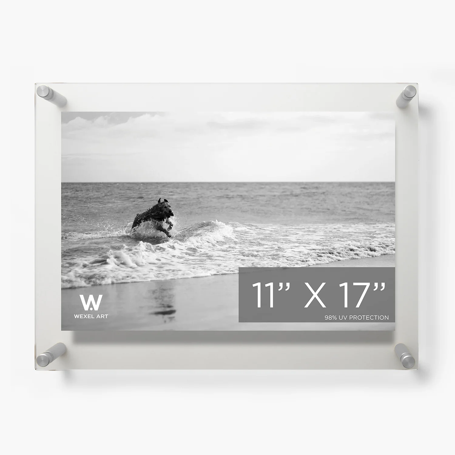 Case Pack of 5 11x17