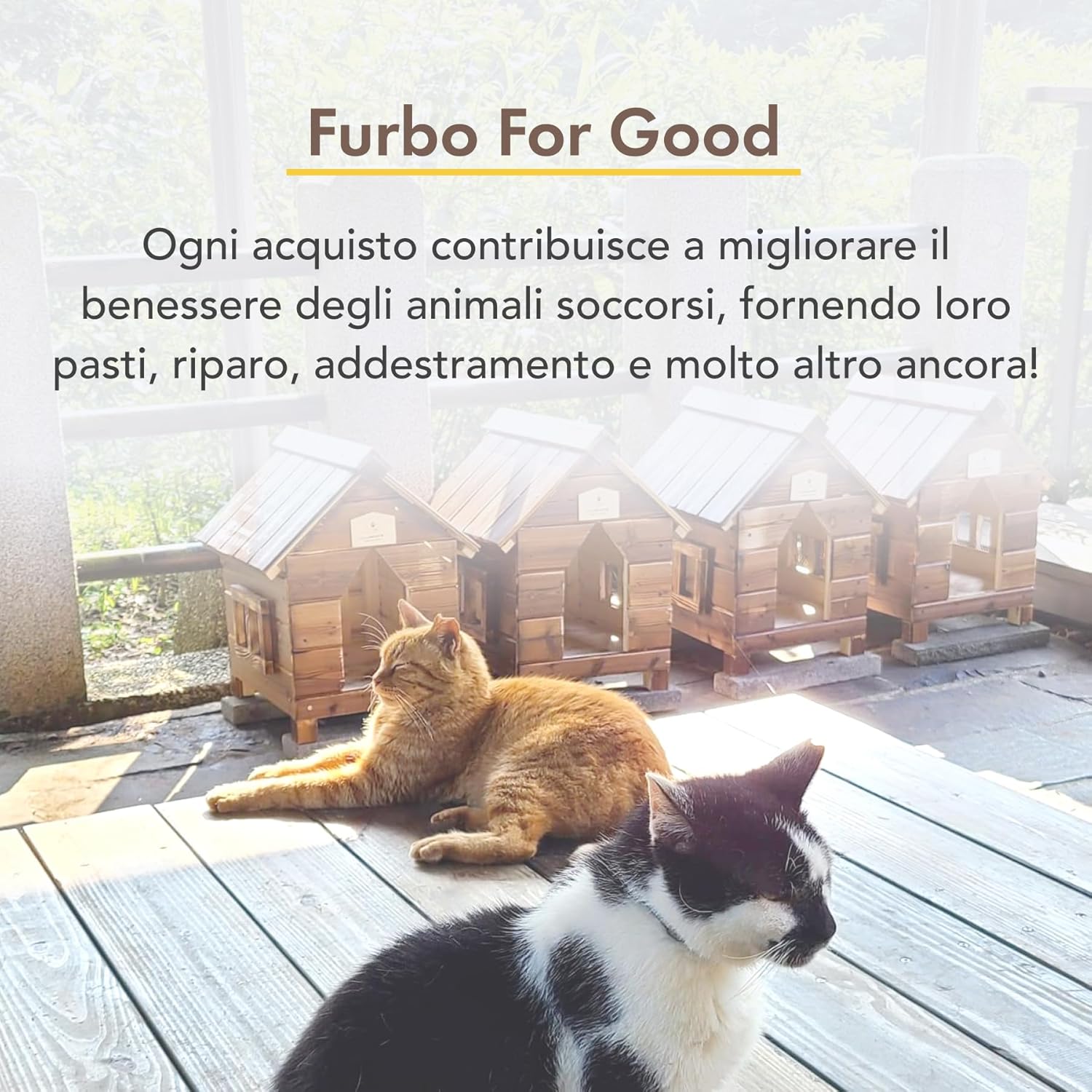 Furbo Videocamera 360° per Cani con Pacchetto Sicurezza Casa