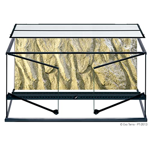 Exo Terra PT2613 Terrario in Vetro 90X45X45 Cm Inclusa Parete Posteriore : Amazon.it: Prodotti per animali domestici