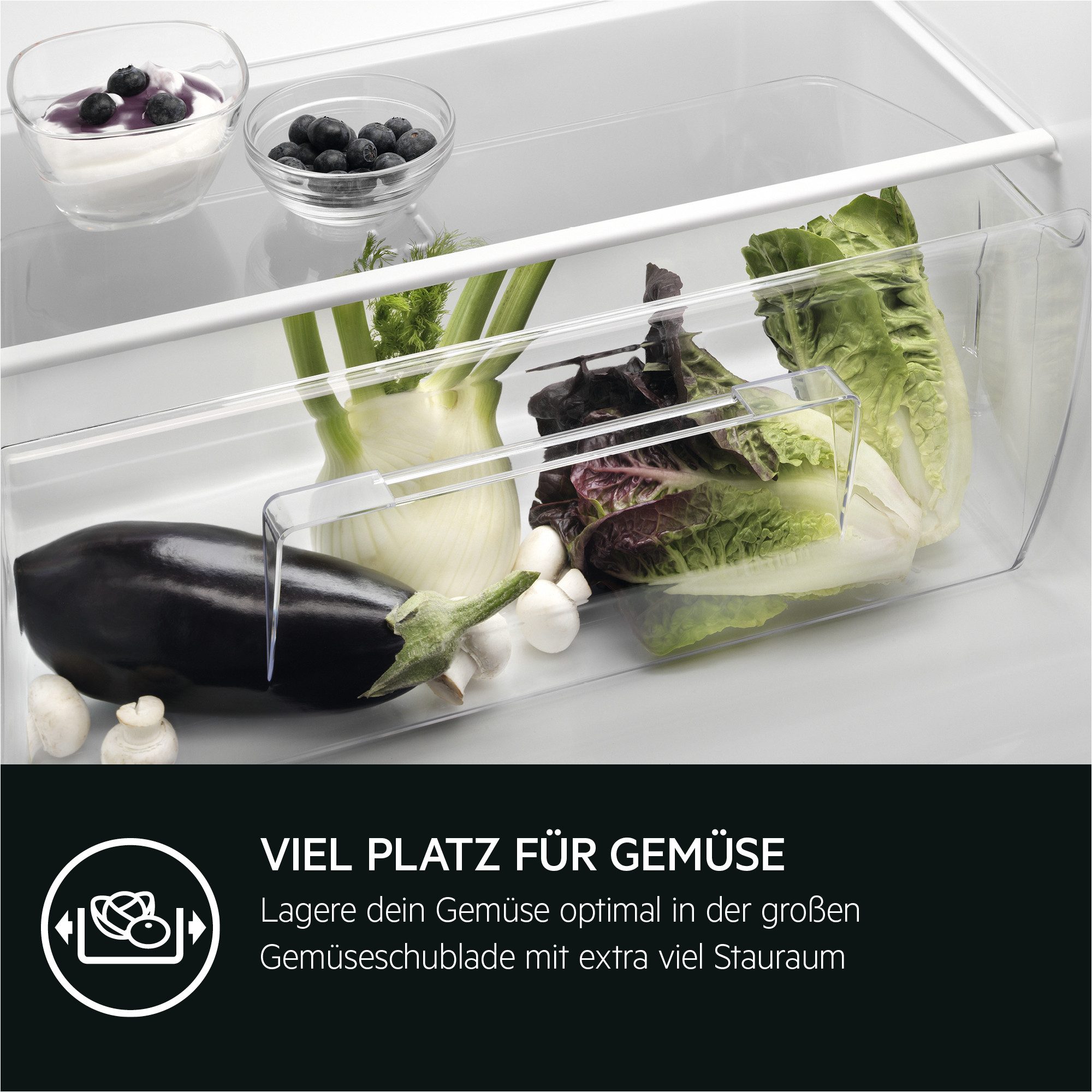Einbaukühlschrank 5000 TSK5012EF