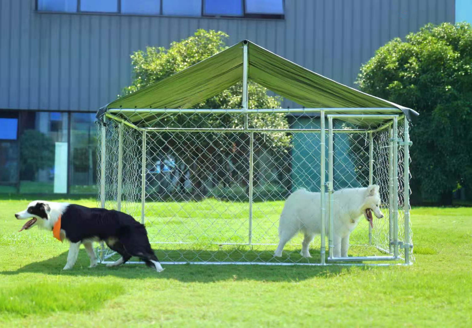 2025 Petony Canile da esterno Gabbia per cani Recinto per cani Recinto per cani Pollaio Pollaio Recinto per animali domestici resistente con grande catena zincata con copertura nera resistente ai raggi UV e all'acqua