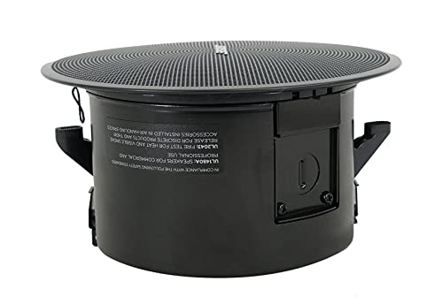Bose  DesignMax DM2C LP (1 Pair) : Elettronica