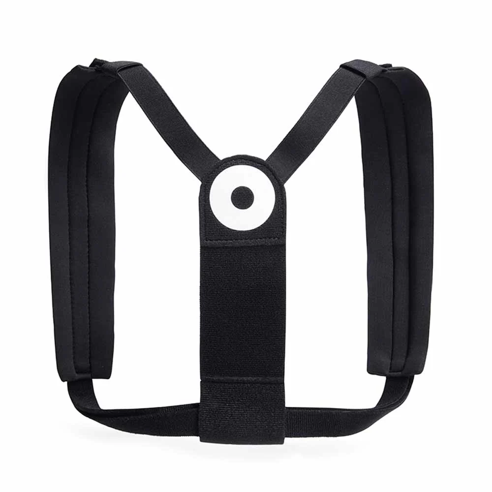 BLACKROLL? Posture