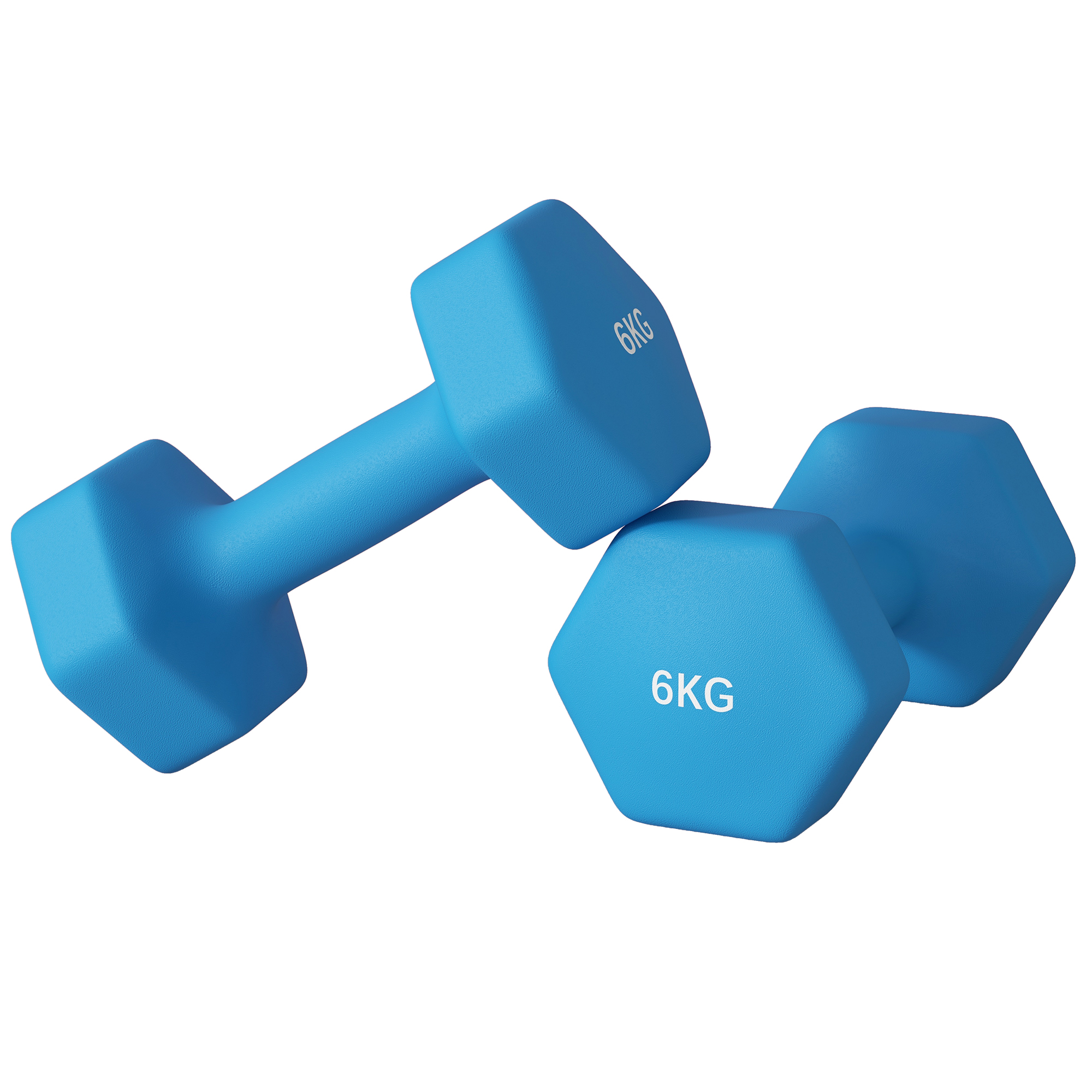SPORTNOW Set 2 Hexagonale Hanteln 2x6kg aus Metall und Kunststoff mit rutschfestem Griff, 22x10x10 cm, Blau
