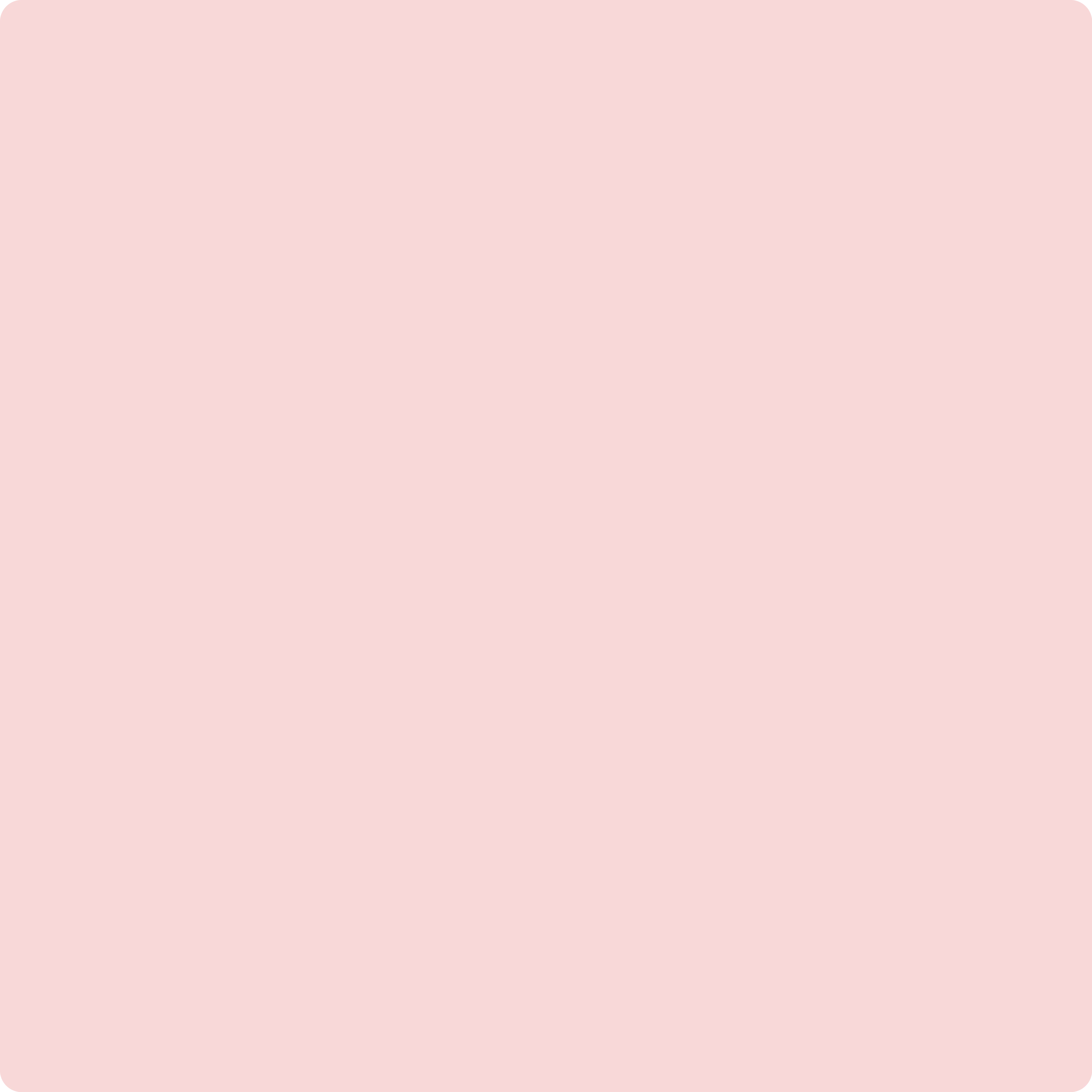 1338 Powder Blush