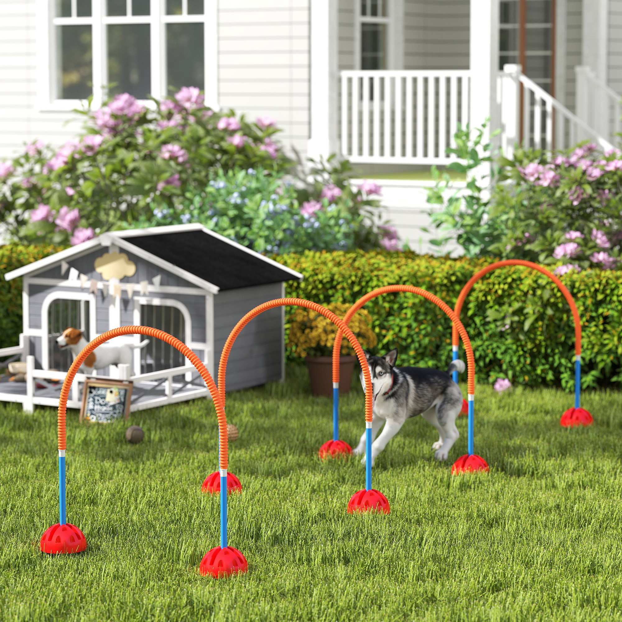 PawHut 4-teiliges Hunde-Agility-Trainingsgerät mit 4 Türen in verstellbarer Breite, Tragetasche, für Garten, Blau