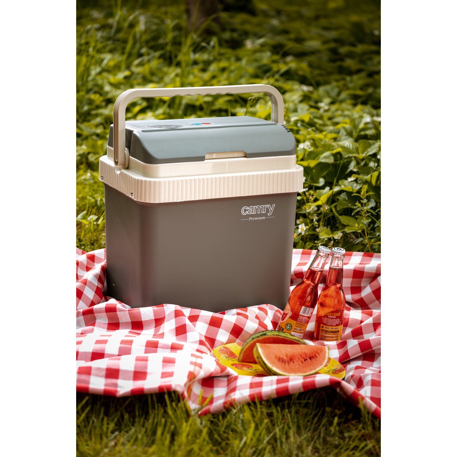 Kühlbox CR 8065