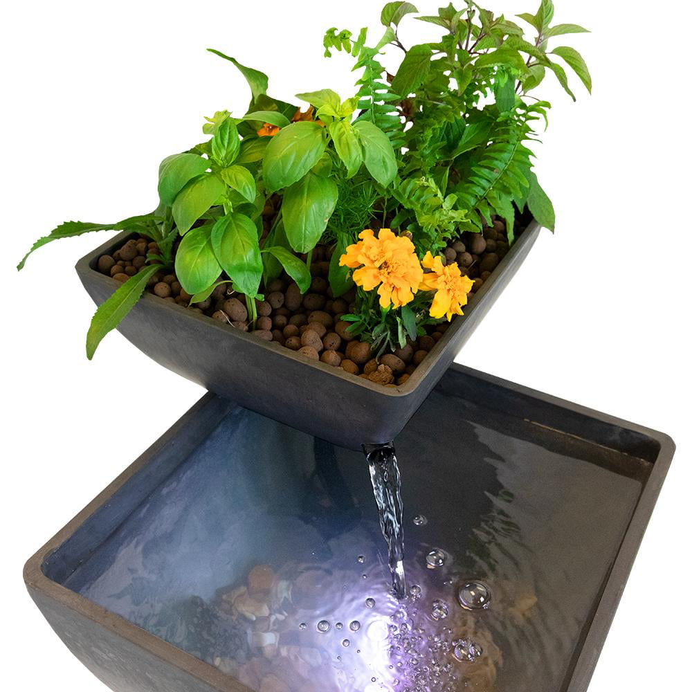 Fuente AquaSprouts: Jardín de Agua Hidropónico, Acuapónico (8 Galones)
