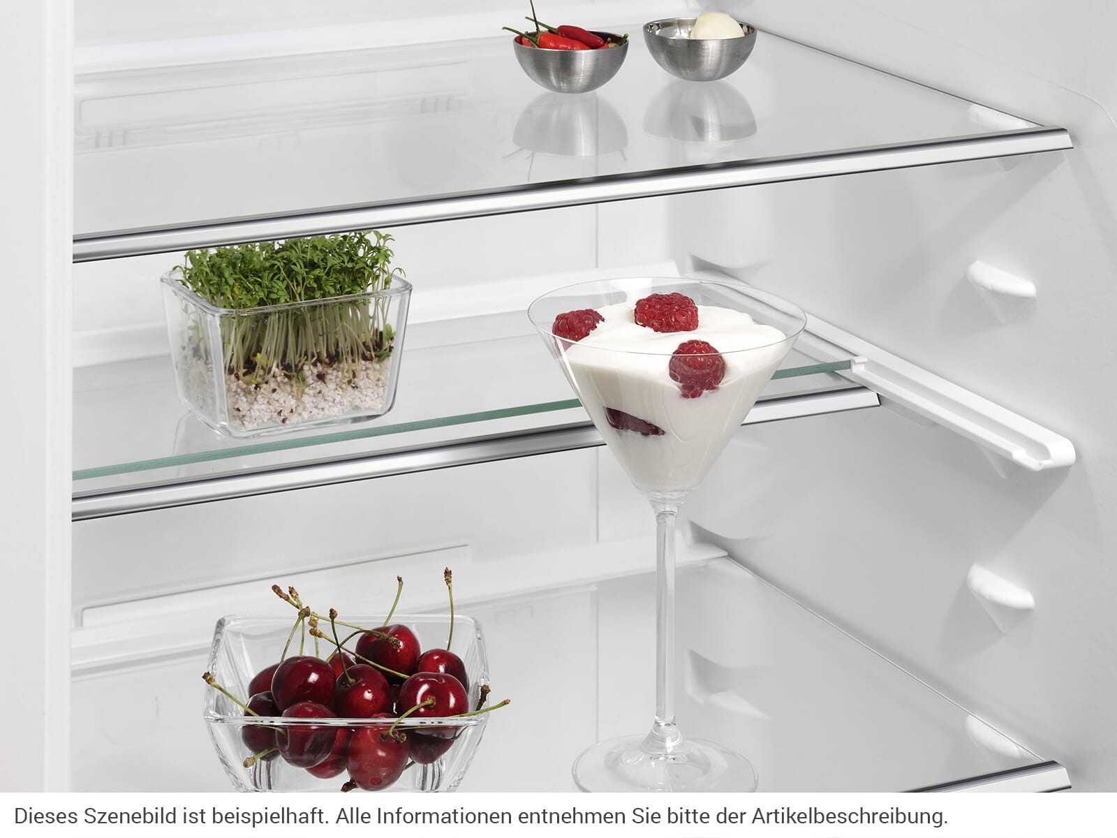 Einbaukühlschrank SKE810E1AF