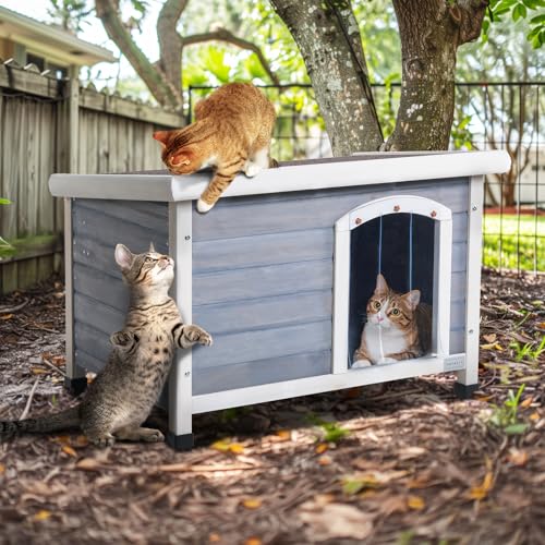 Petsfit Casetta per Cani da Esterno, con Pavimento Rimovibile, Tetto Apribile in Legno, Cuccia per Cane da Esterno, 78 x 52 x 58 cm grigio : Amazon.it: Prodotti per animali domestici