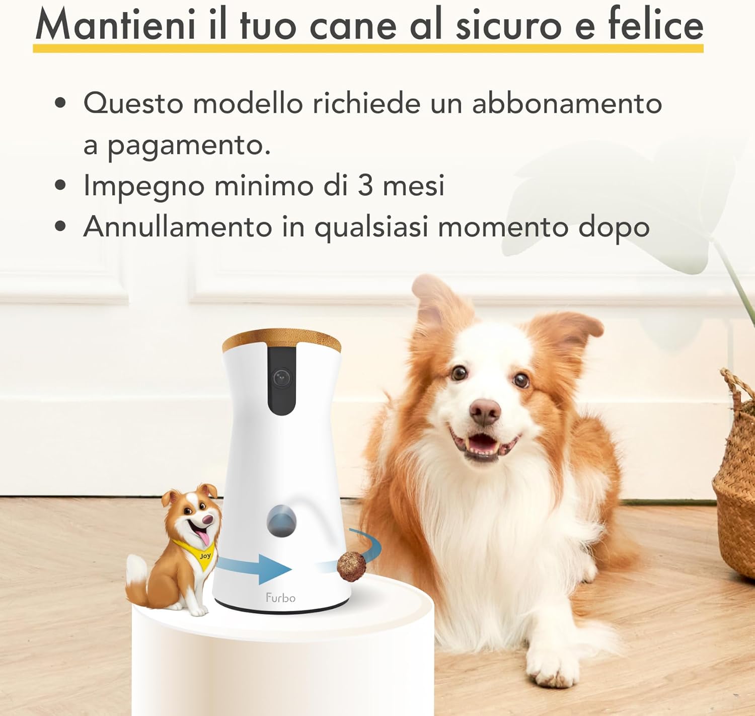 Furbo Videocamera 360° per Cani con Pacchetto Sicurezza Casa