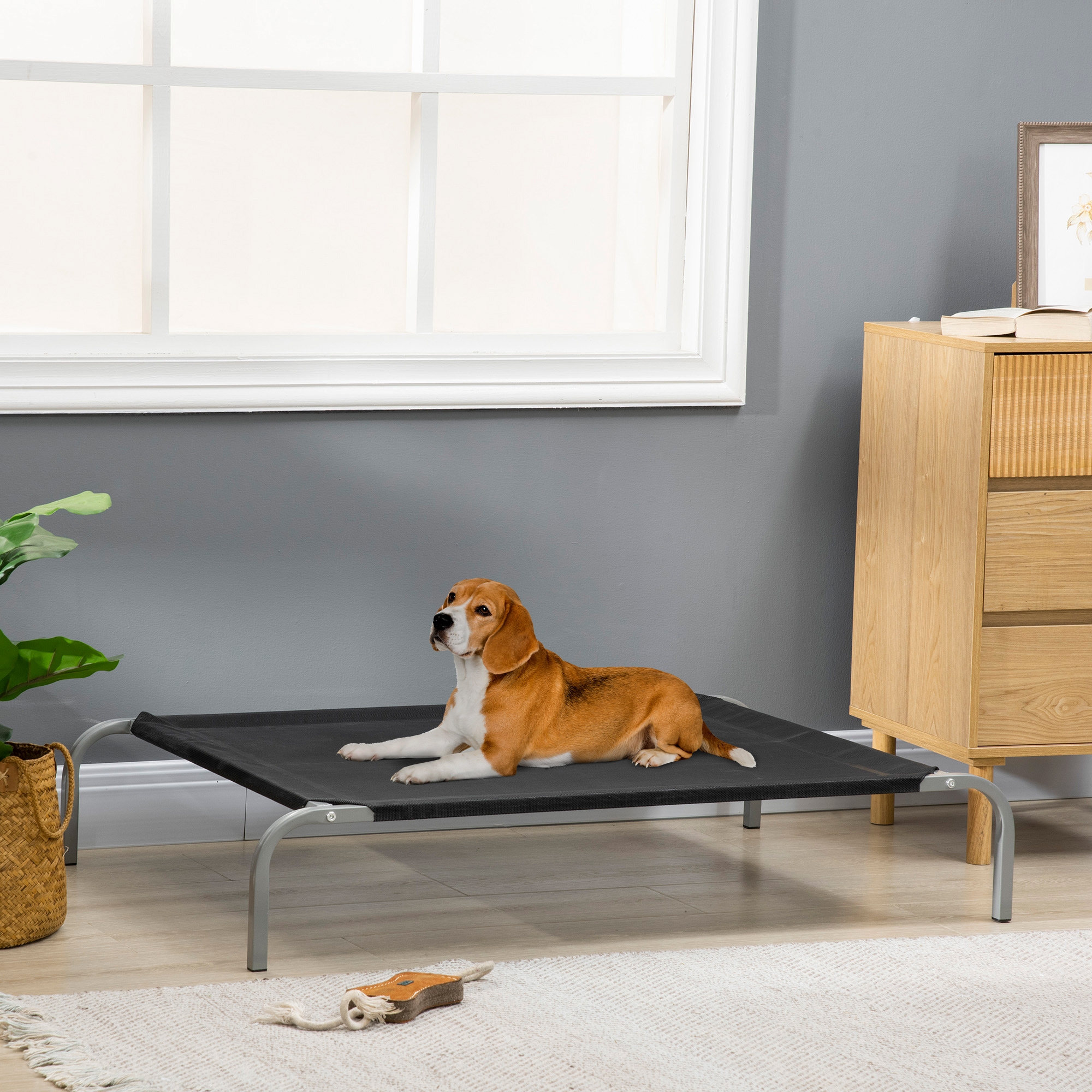 PawHut Hundebett Katzenbett XL Liegeplatz auf Stelzen Campingbett 110 x 75 x 20 cm Textilene Mikroperforation Schwarz