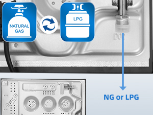 Diagramma tecnico che mostra le opzioni di connessione a gas naturale e GPL con icone ed etichette blu che indicano la compatibilità con il doppio carburante