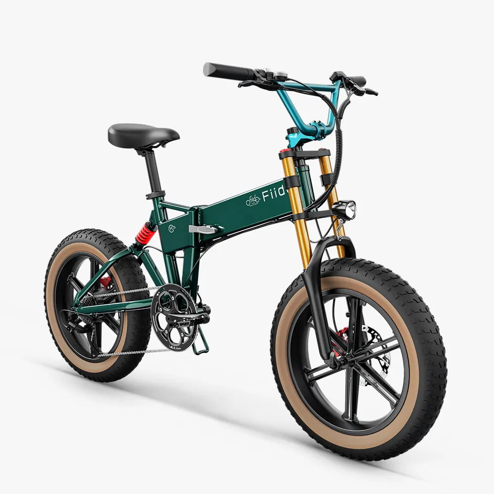 Fiido M1 Pro Elektrische Big Wheel Fatbike Fiido M1 Pro Elektrische Fatbike