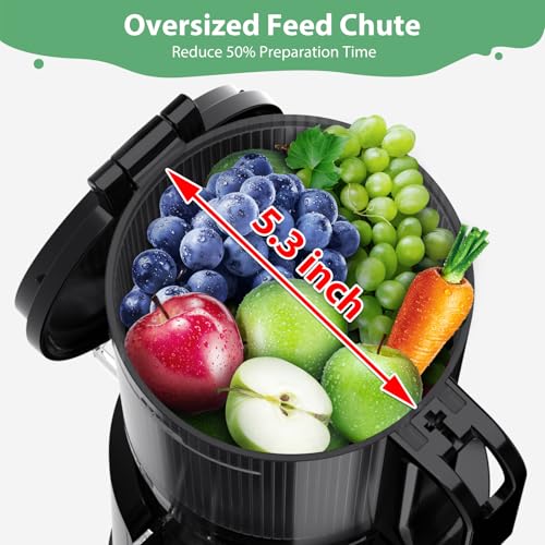 Aeitto Juicer Machines, Cold Press Juicer, 5.3“ Large Feed Chute for Whole Fruits & Vegetables, Slow Masticating Juicer Easy to Clean, High Juice Yield, Black : Home & Kitchen