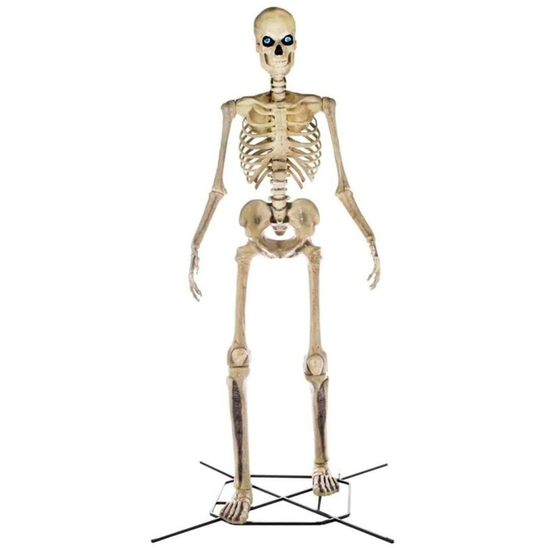 Home Accents 12 ft Giant Skeleton with LifeEyes, 95 lbs &ndash; Halloween Decoration