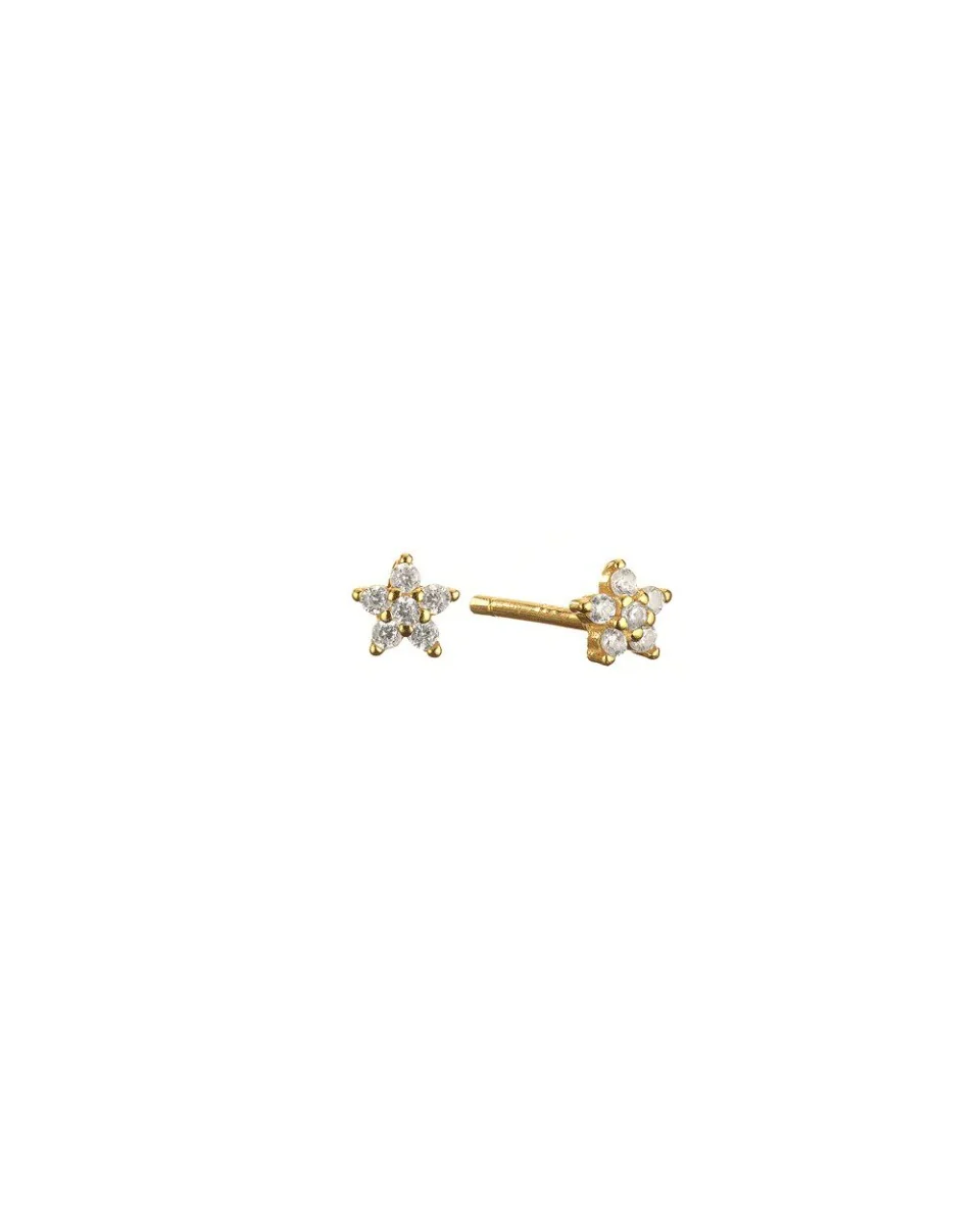 Mary-K Gold Crystal Star Studs