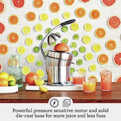 Breville 800CPXL Juicer, One Size, Brushed Stainless: Electric Citrus Juicers: Home & Kitchen