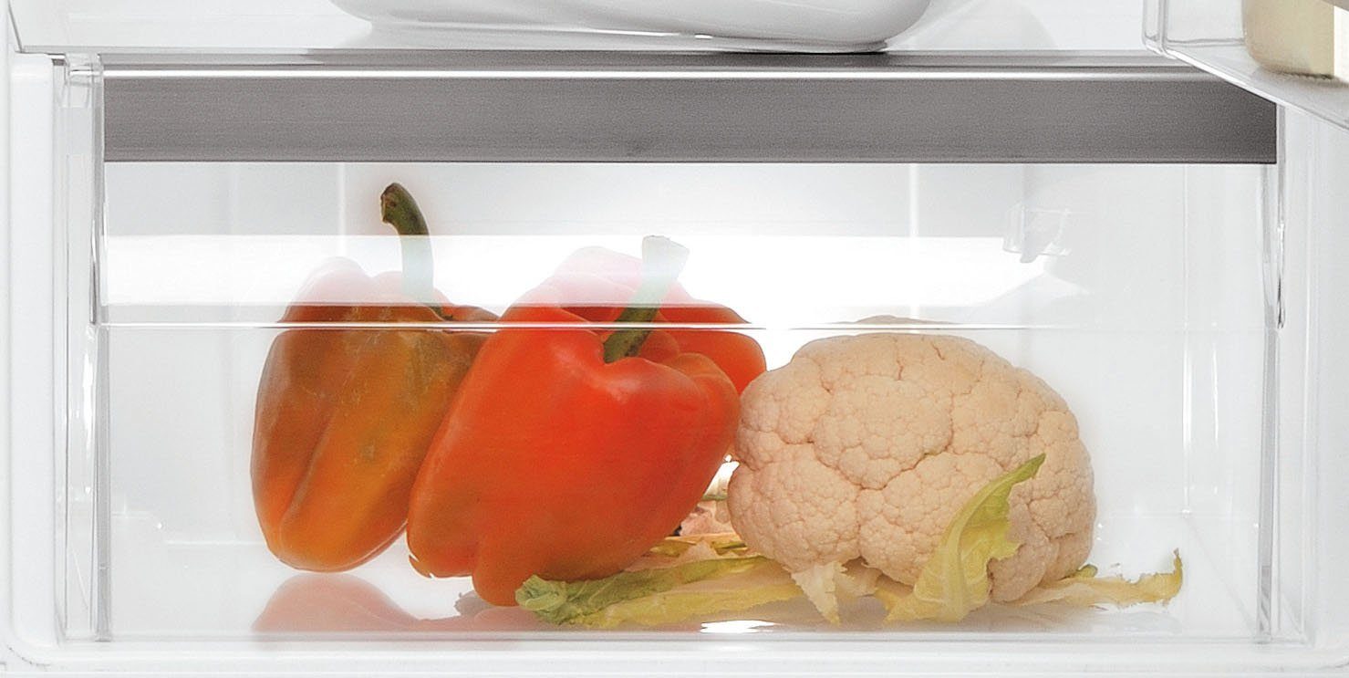 Einbaukühlschrank KSI 12VF2