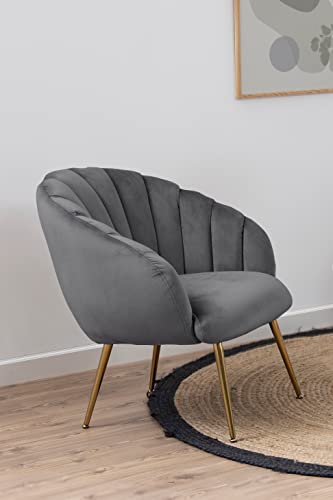 AC Design Furniture Denise Sedia Da Riposo, A: 81 x L: 71 x P: 71 cm, Grigio Scuro, Tessuto/Cromata, 1 pz : Amazon.it: Casa e cucina