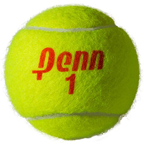 Penn Championship Tennis Feltro pressurizzato