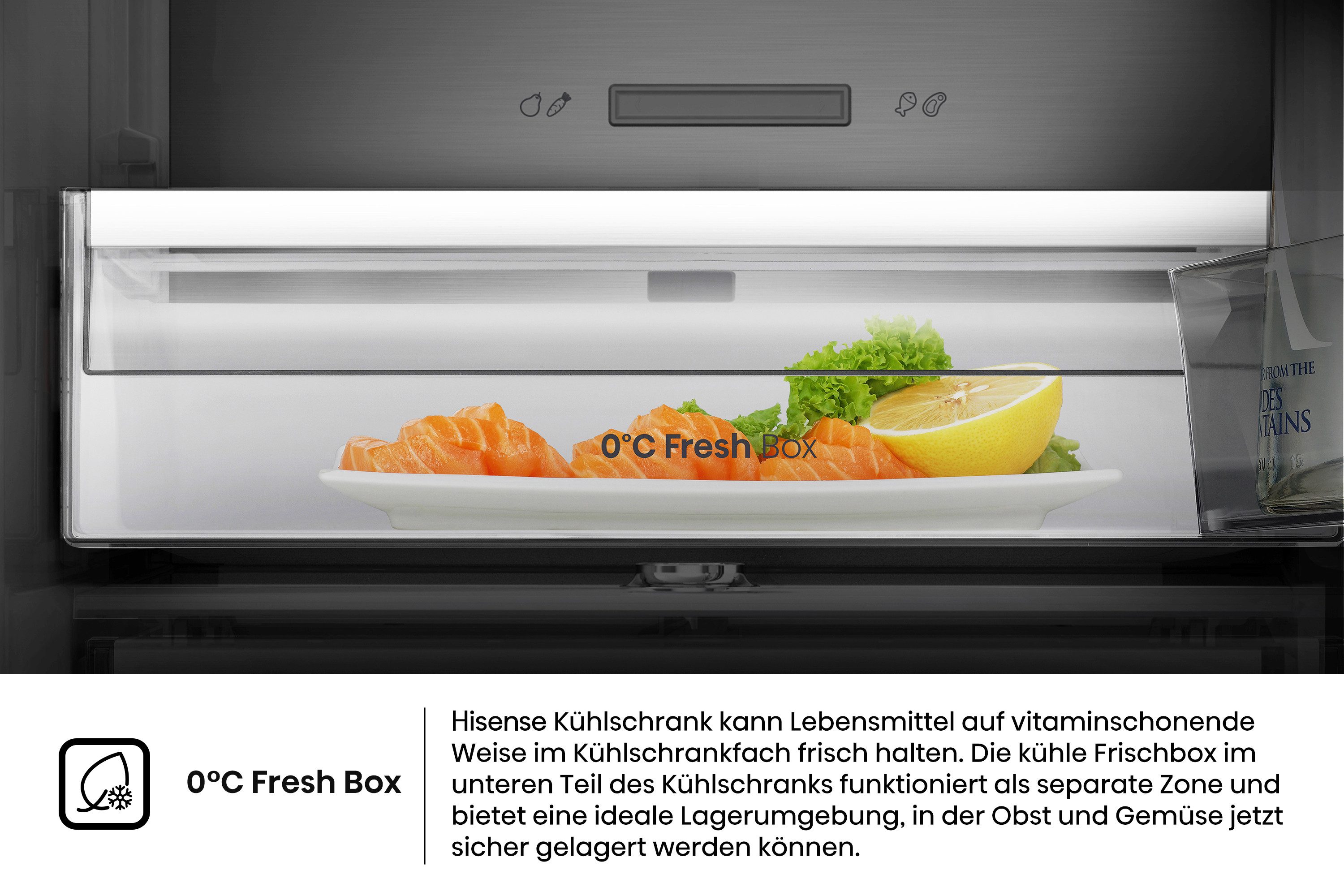 Kühlschrank RL5K370GSFC1