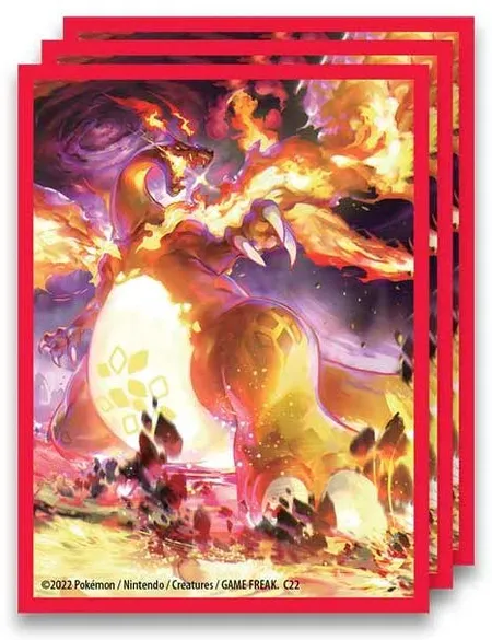 Pokemon TCG: Charizard (65 Pack)