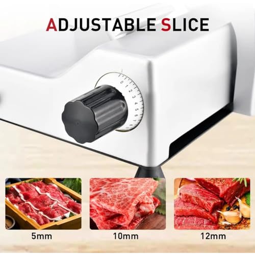 VACSAX Affettatrice Elettrica per Gastronomia, Affettatrice per Carne, Lama in Acciaio da 10