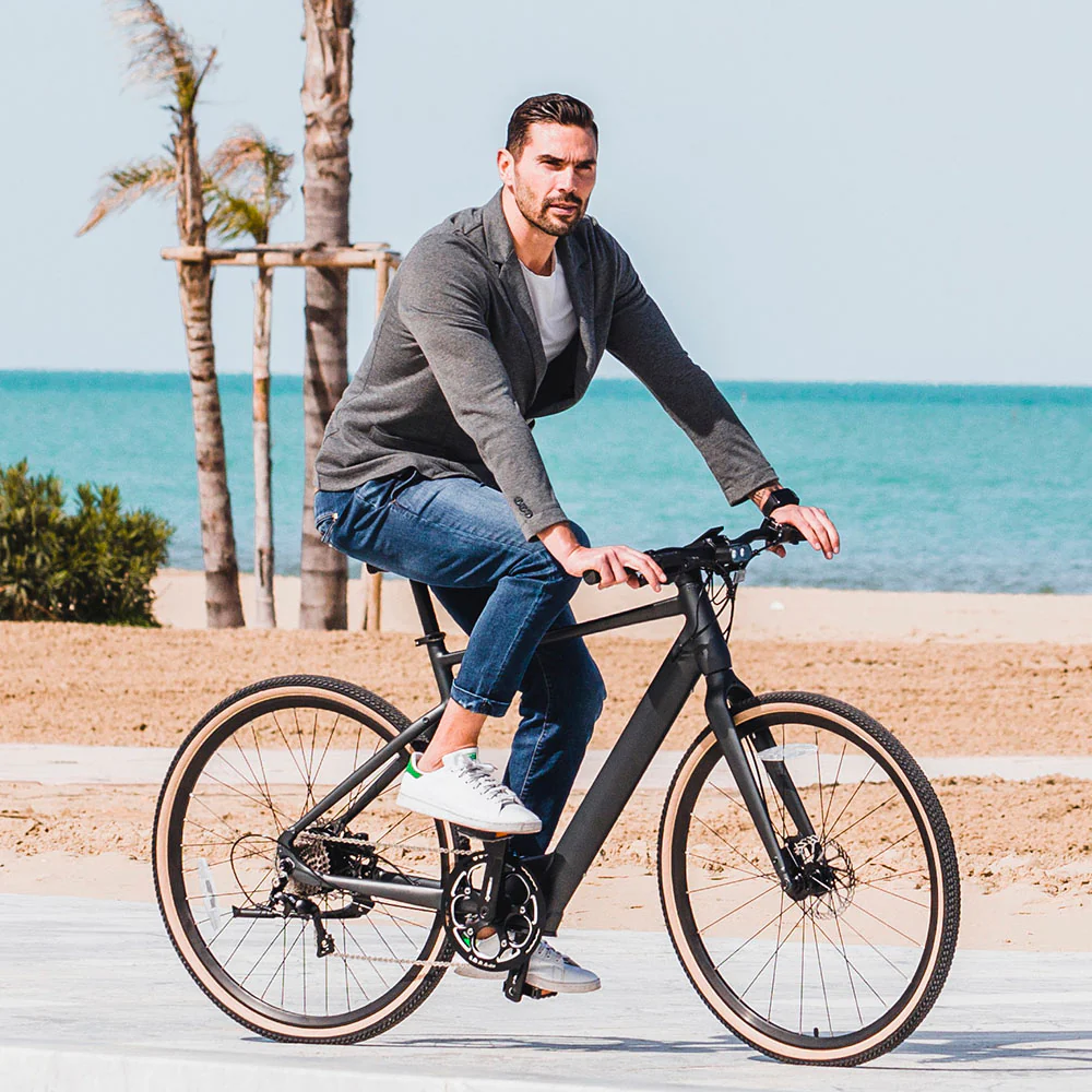 Fiido C21 E-Gravel & City Elektrische Fiets