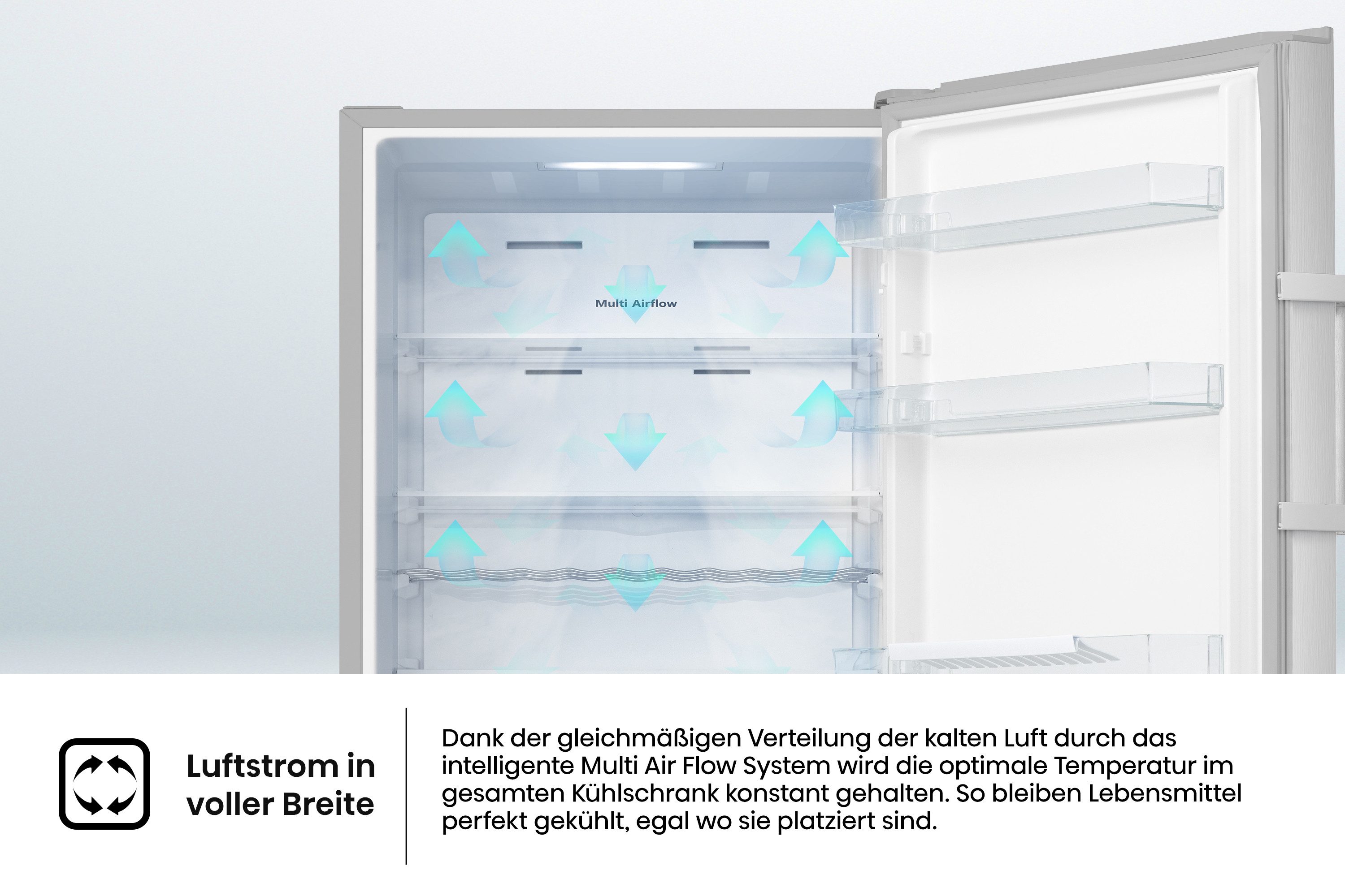 Kühlschrank RL3N319NEIC