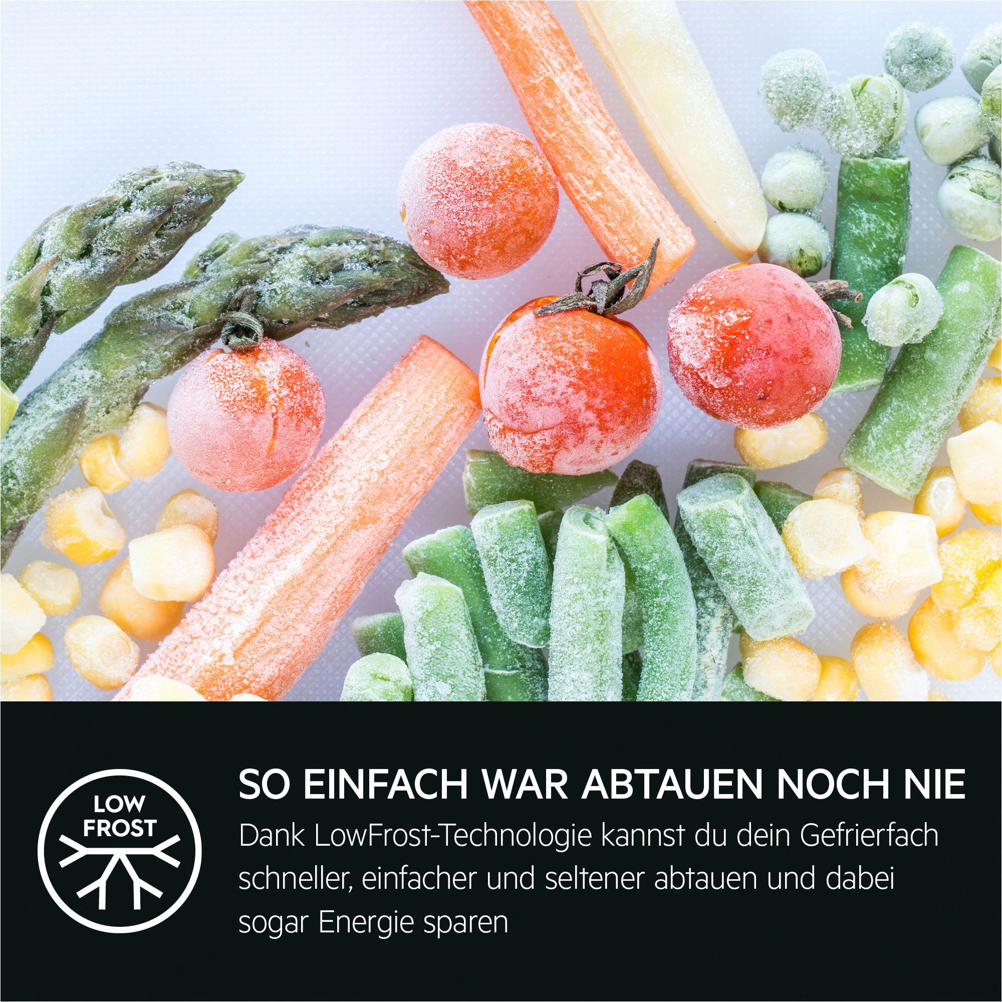 Einbaukühlgefrierkombination Serie 5000 TSC5S183EF