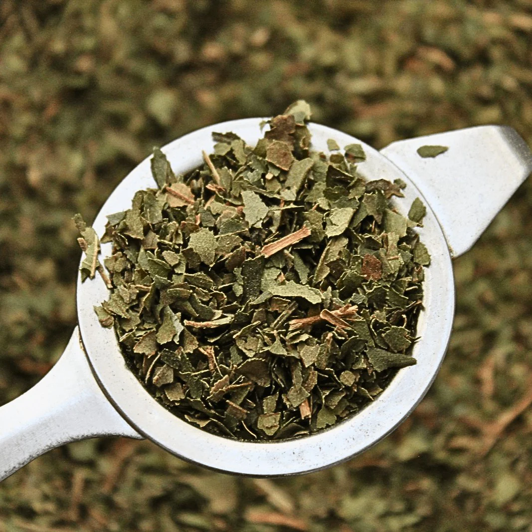 Lemon Myrtle  - Organic Herb