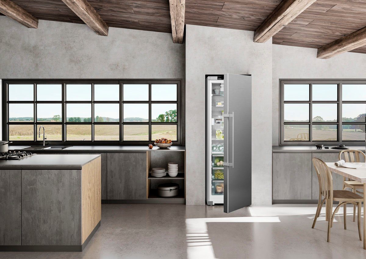 Kühlschrank RBsdd 5250-20
