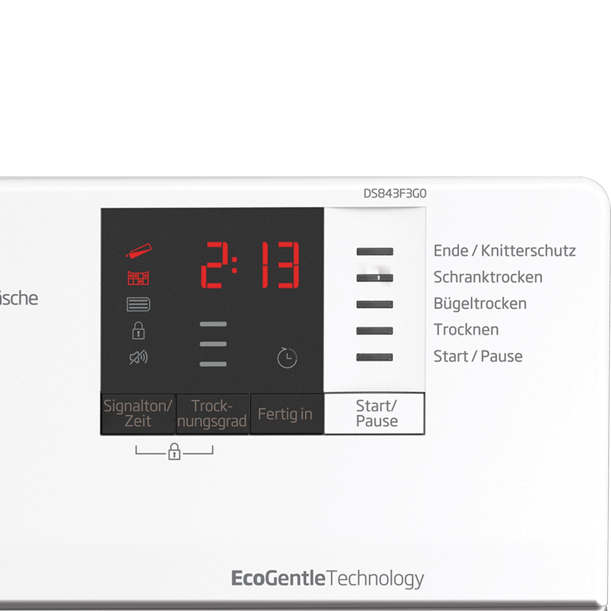 Wärmepumpentrockner DS843F3G0