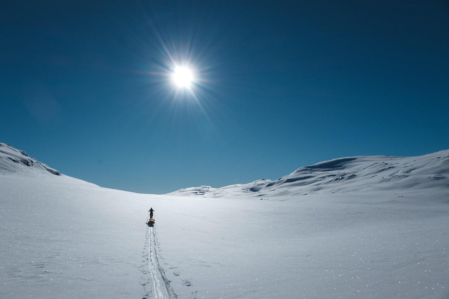 Expeditions-Pulk Komplett mit verstärktem Gurtzeug & Schaft, ideal für Schlittenfahren, Skifahren, Touren, Trekking, Wandern & Freizeit. Verfügbare Typen:(Kite-140, Xcountry-144, Xplorer-168 und 188)