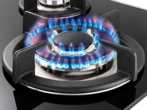 Piastra di cottura a gas a 4 fuochi
