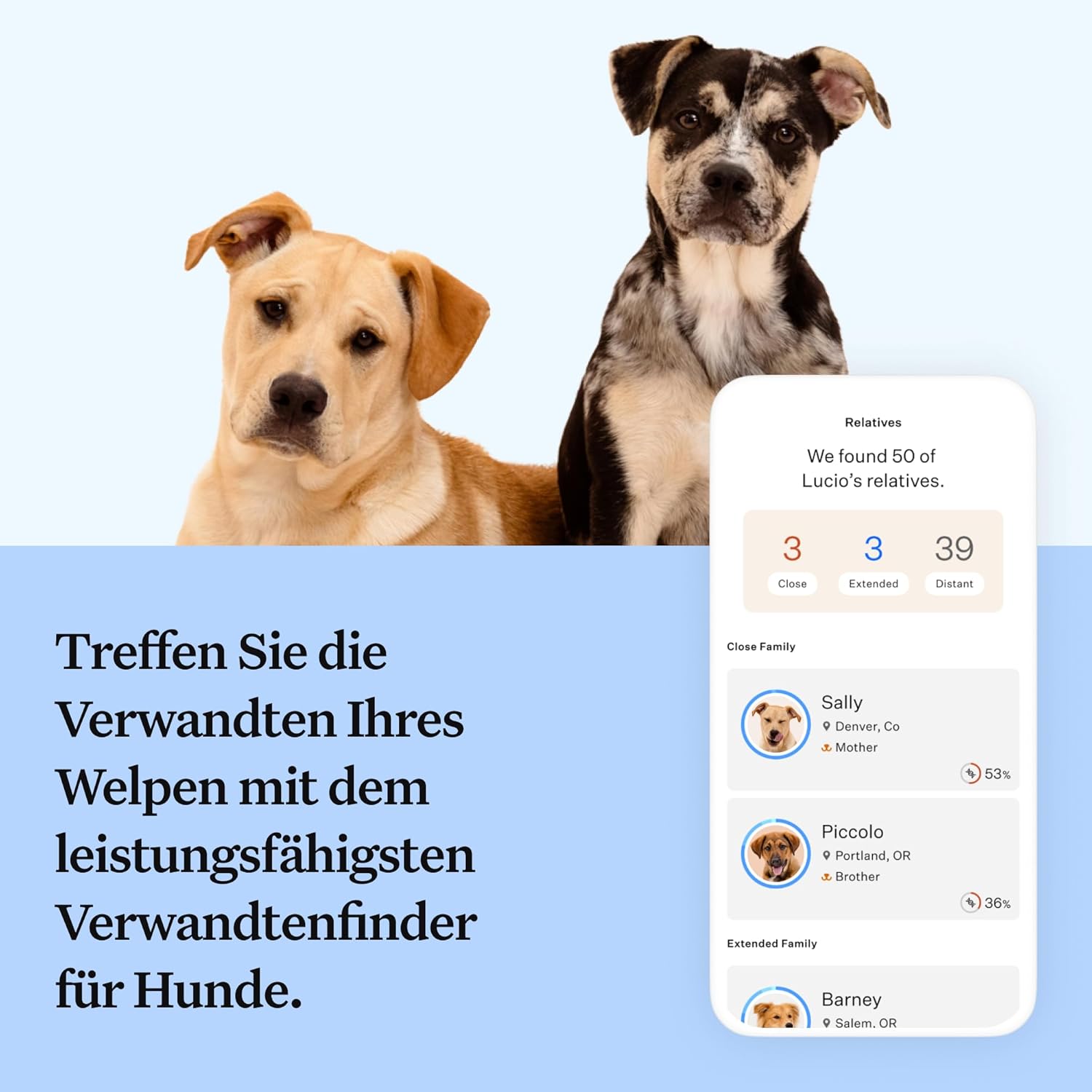 Wisdom Panel zur Feststellung von Hunderassen DNA-Test-Kit – przise Rassen-ID MDR1 Abstammung Verwandte