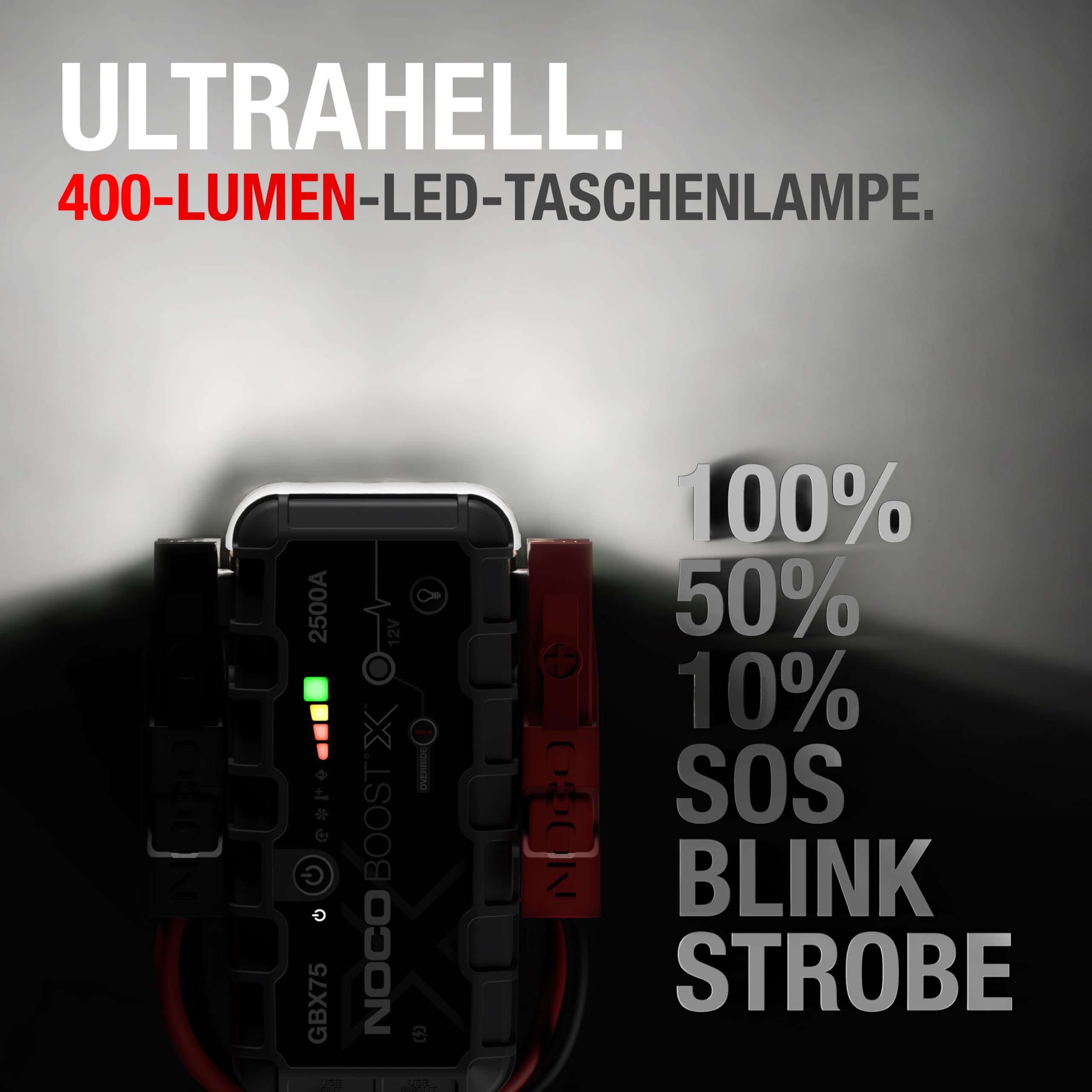 Starthilfe Powerbank 2500A für Benzin bis 8,5 L und Diesel bis 6,5 L, 12V Lithium mit USB-C